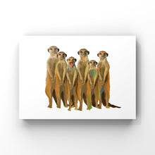 Load image into Gallery viewer, Meerkats