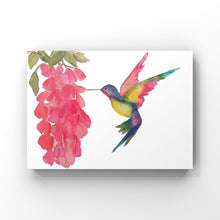 Load image into Gallery viewer, Humming Bird
