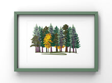 Load image into Gallery viewer, Trees