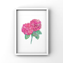 Load image into Gallery viewer, Hydrangeas