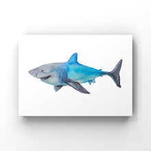 Load image into Gallery viewer, Shark