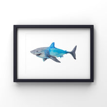 Load image into Gallery viewer, Shark