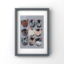 Load image into Gallery viewer, Chickens