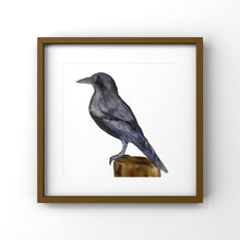 Load image into Gallery viewer, Amethyst the Crow
