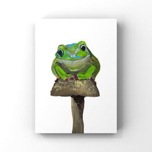 Load image into Gallery viewer, Frog Friend
