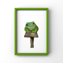 Load image into Gallery viewer, Frog Friend