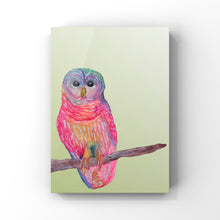 Load image into Gallery viewer, Watercolor Owl