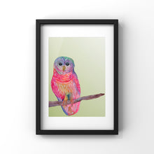 Load image into Gallery viewer, Watercolor Owl