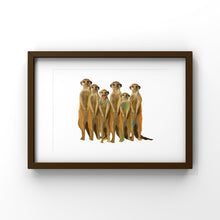 Load image into Gallery viewer, Meerkats
