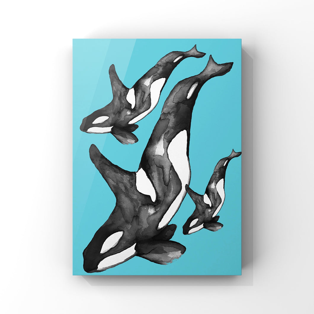 Orcas